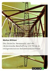 Der deutsche Strommarkt und die ökonomische Beschaffung von Strom in energieintensiven Industrieunternehmen