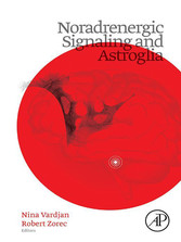 Noradrenergic Signaling and Astroglia