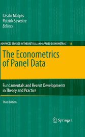 The Econometrics of Panel Data