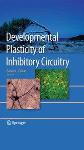 Developmental Plasticity of Inhibitory Circuitry