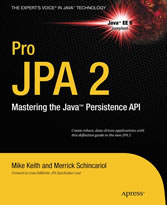 Pro JPA 2