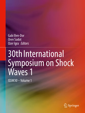 30th International Symposium on Shock Waves 1