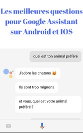 Les meilleures questions pour google assistant sur android et IOS