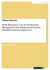 Work Motivation. Can the Productivity Measurement and Enhancement System (ProMES) motivate employees?