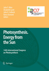 Photosynthesis. Energy from the Sun