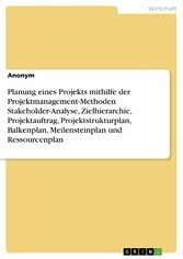 Planung eines Projekts mithilfe der Projektmanagement-Methoden Stakeholder-Analyse, Zielhierarchie, Projektauftrag, Projektstrukturplan, Balkenplan, Meilensteinplan und Ressourcenplan