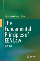 The Fundamental Principles of EEA Law