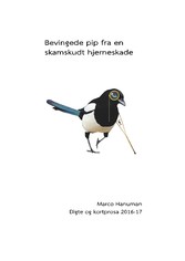 Bevingede pip fra en skamskudt hjerneskade