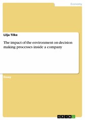 The impact of the environment on decision making processes inside a company