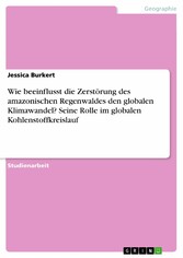 Wie beeinflusst die Zerstörung des amazonischen Regenwaldes den globalen Klimawandel? Seine Rolle im globalen Kohlenstoffkreislauf