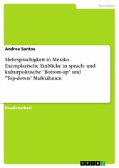 Mehrsprachigkeit in Mexiko. Exemplarische Einblicke in sprach- und kulturpolitische 'Bottom-up' und 'Top-down' Maßnahmen