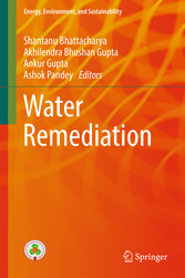 Water Remediation