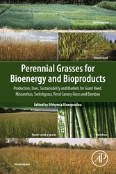 Perennial Grasses for Bioenergy and Bioproducts