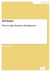 Was ist Agile Business Intelligence?