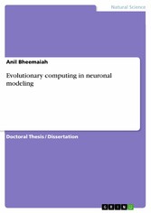 Evolutionary computing in neuronal modeling