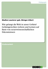 Wie gelangt die Welt in unser Gehirn? Gehirngerechtes Lehren und Lernen auf Basis von neurowissenschaftlichen Erkenntnissen