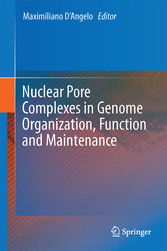 Nuclear Pore Complexes in Genome Organization, Function and Maintenance