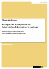 Strategisches Management der betrieblichen Informationsverwaltung