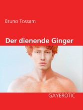 Der dienende Ginger