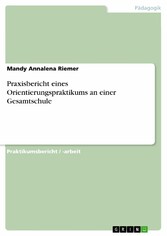 Praxisbericht eines Orientierungspraktikums an einer Gesamtschule