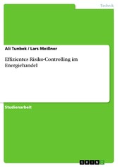 Effizientes Risiko-Controlling im Energiehandel