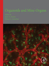 Organoids and Mini-Organs