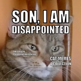 Cat-Memes