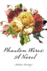 Phantom Wires: A Novel