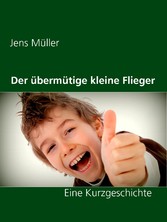 Der übermütige kleine Flieger