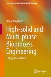 High-solid and Multi-phase Bioprocess Engineering