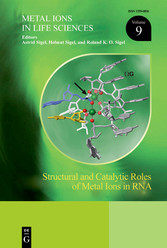 Structural and Catalytic Roles of  Metal Ions in RNA