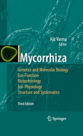 Mycorrhiza