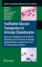 Facilitative Glucose Transporters in Articular Chondrocytes