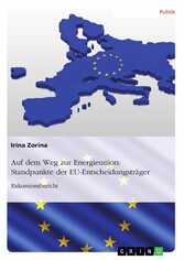 Auf dem Weg zur Energieunion: Standpunkte der EU-Entscheidungsträger