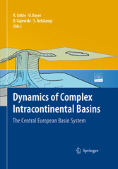 Dynamics of Complex Intracontinental Basins