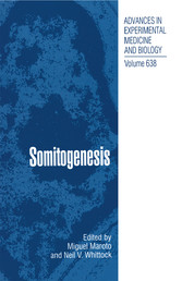 Somitogenesis