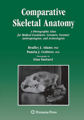 Comparative Skeletal Anatomy