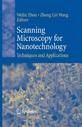 Scanning Microscopy for Nanotechnology