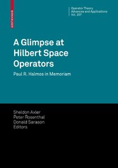 A Glimpse at Hilbert Space Operators