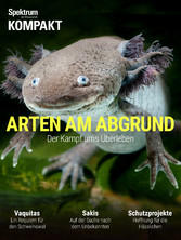 Spektrum Kompakt - Arten am Abgrund