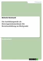 Die Ausbildungsreife als Heterogenitätsmerkmal. Die Berufsausbildung im Blickpunkt