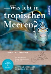 Was lebt in tropischen Meeren?