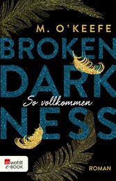 Broken Darkness: So vollkommen