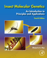 Insect Molecular Genetics