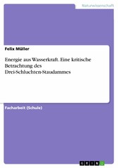 Energie aus Wasserkraft. Eine kritische Betrachtung des Drei-Schluchten-Staudammes