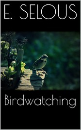 Bird Watching