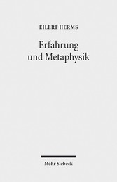 Erfahrung und Metaphysik