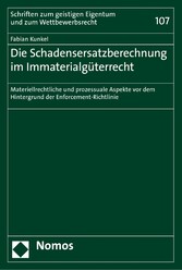 Die Schadensersatzberechnung im Immaterialgüterrecht