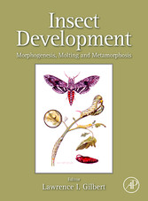 Insect Development