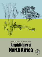 Amphibians of North Africa